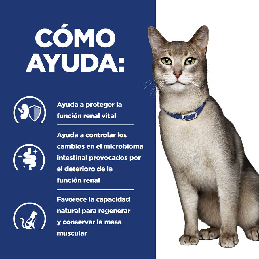 3 kg Hill's Prescription Diet kidney Care k/d Ra&ccedil;&atilde;o de atum para gato, , large Imagem n&uacute;mero 6